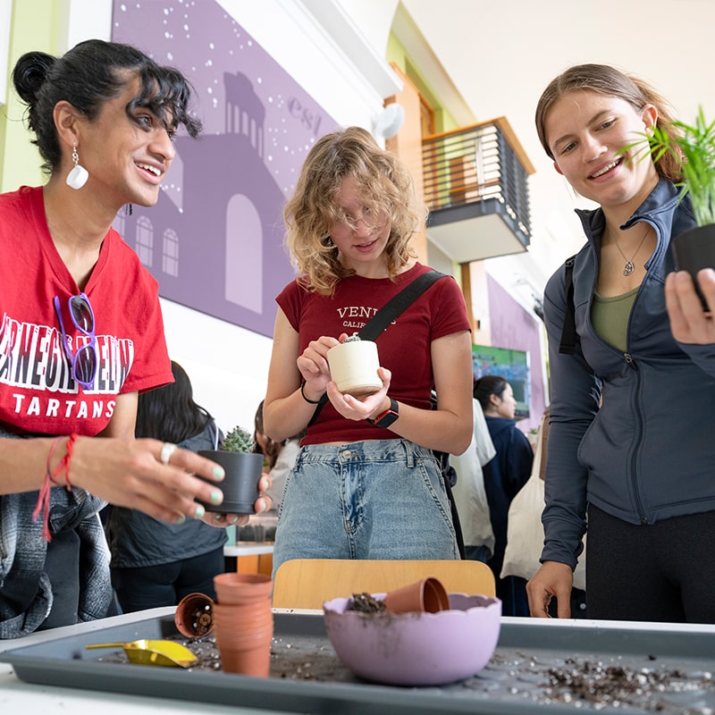 Students plant pots of succulents in the Well-being Lab in the Highmark Center for Health, Wellness, and Athletics