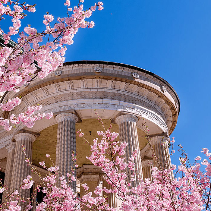 Margaret Morrison building with pink flowers and a blue sky