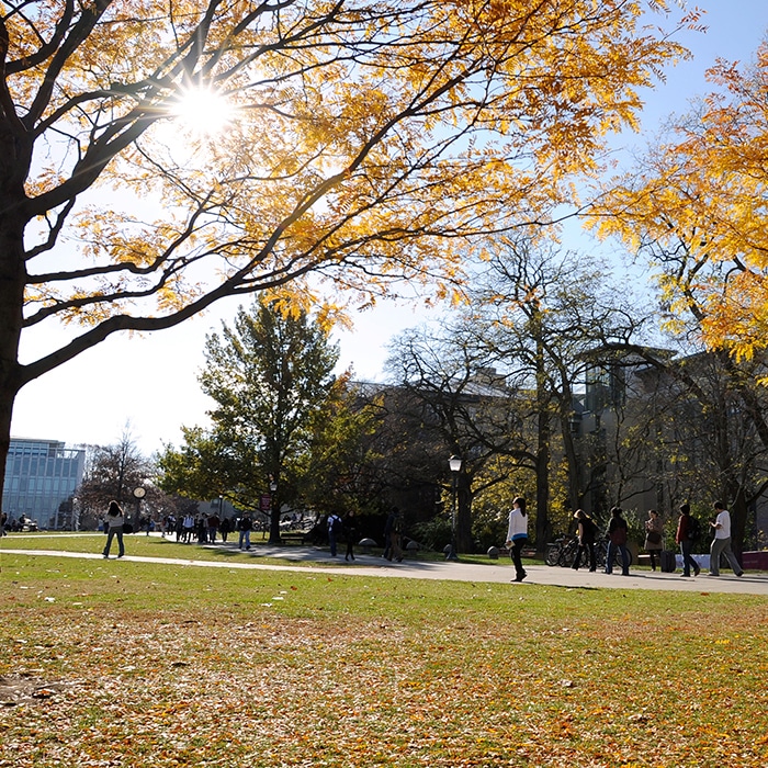 the cut on a fall day