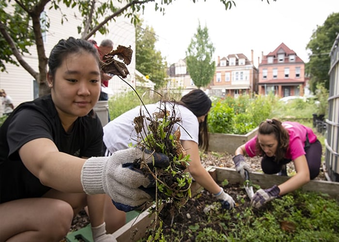 Student holds up a flower she's planting in a community garden