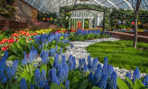 Phipps Conservatory & Botanical Gardens