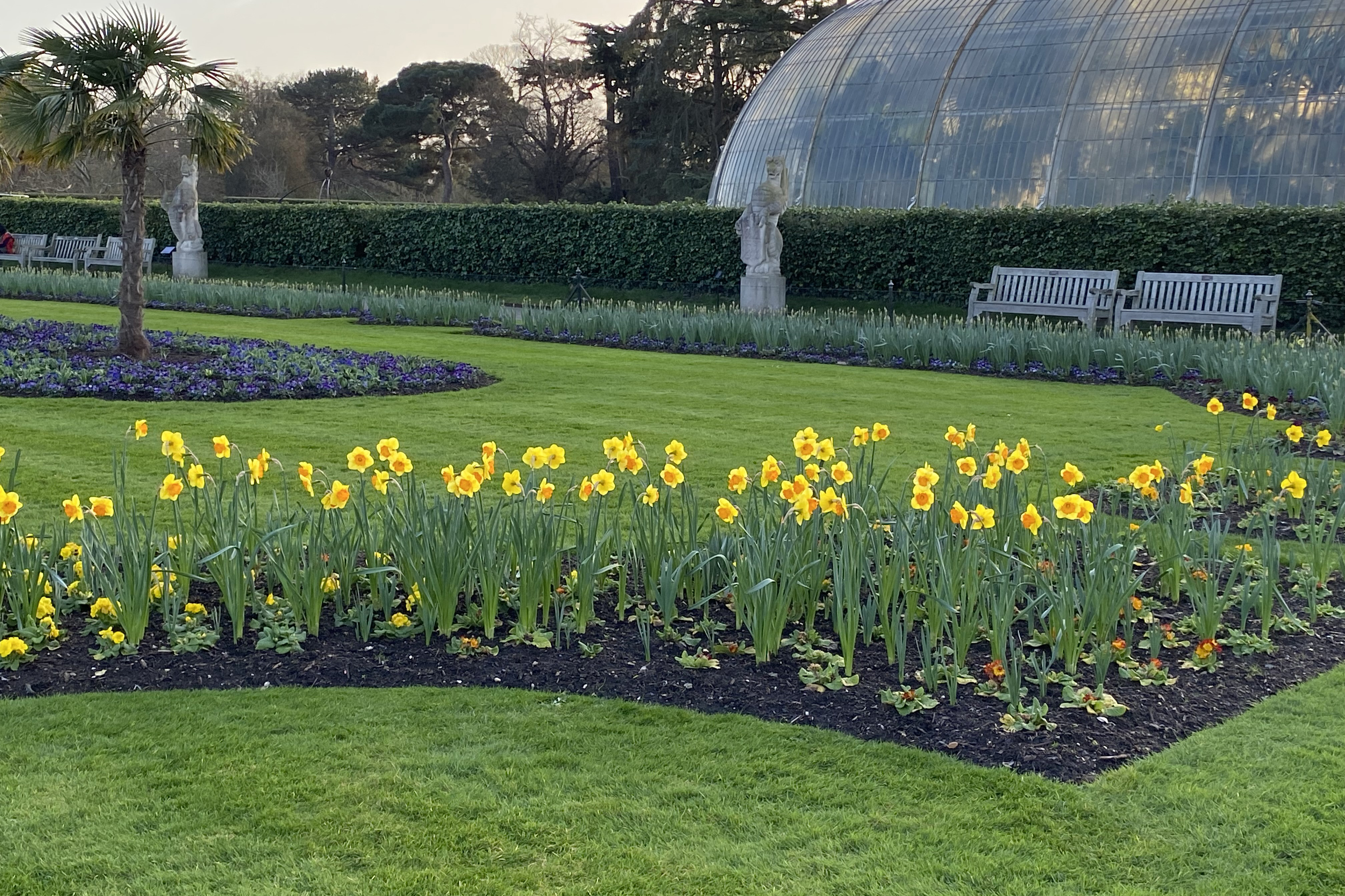 Image of a botanical garden