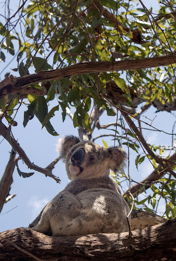 Kensington, Australia