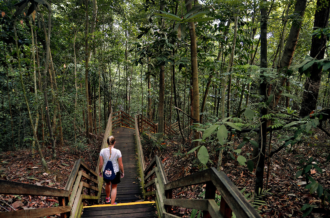 A girl with braided hair descends a staircase into a forrest.