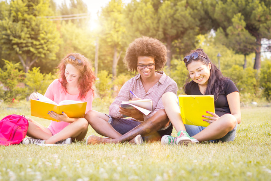 Students sitting outside in grass