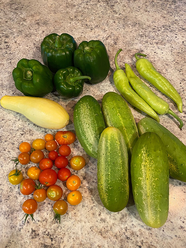 Cucumbers, tomatoes, and other vegetables on a granite counter top.