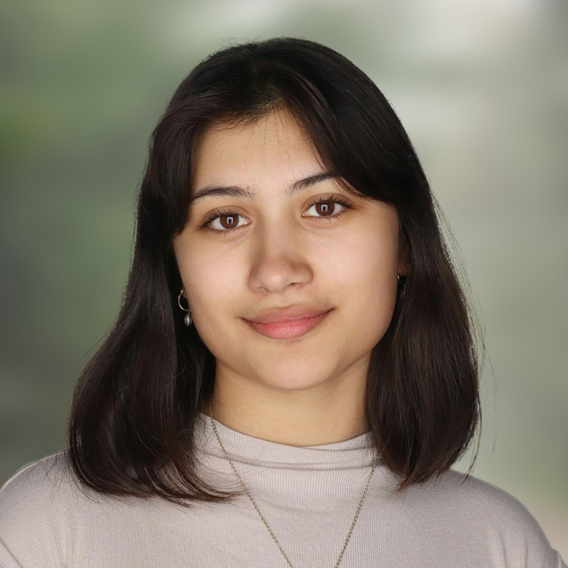 Ameena George