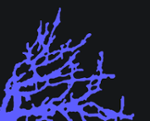 hiretree logo