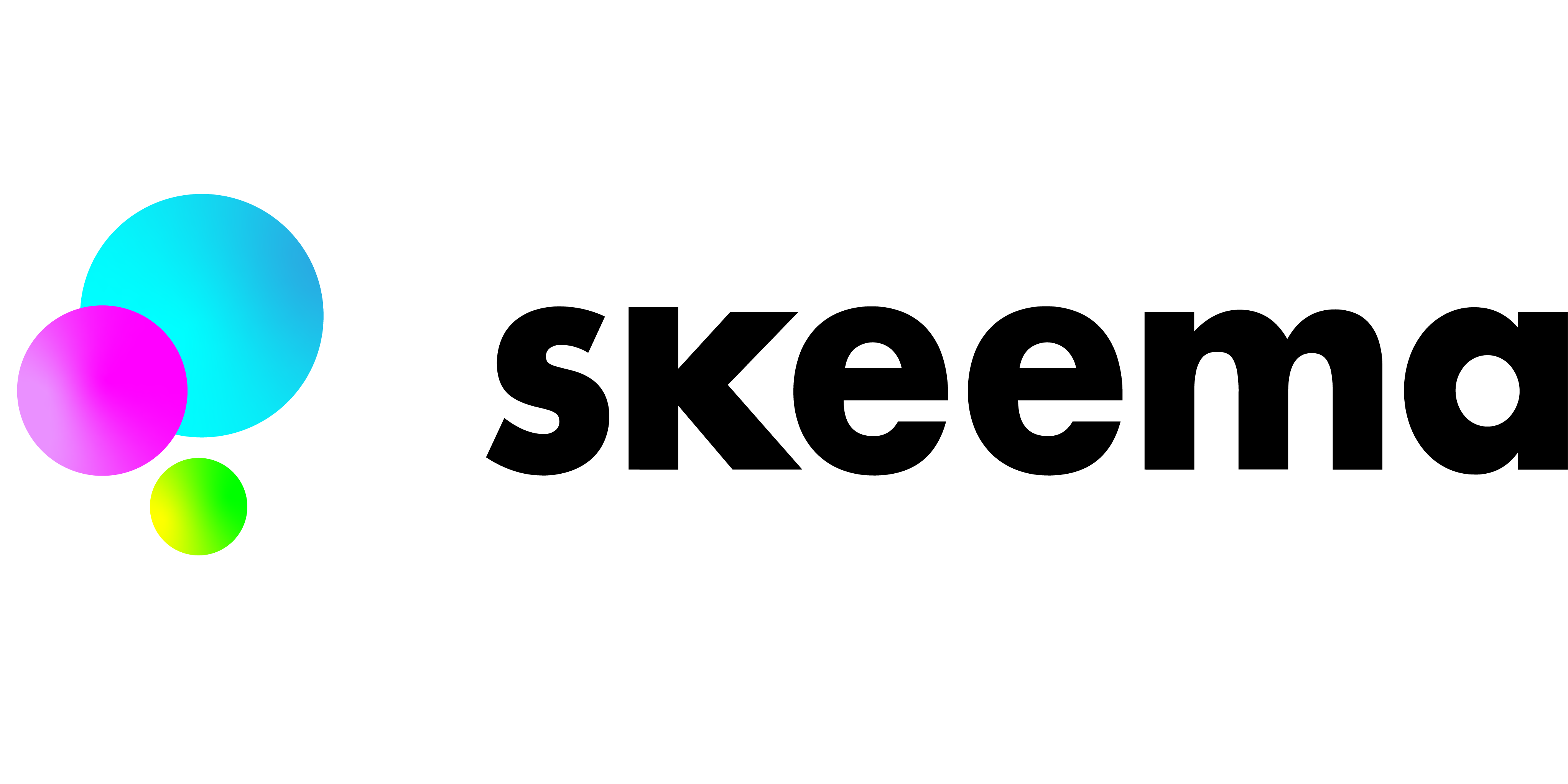 skeema-logo-2-1.png
