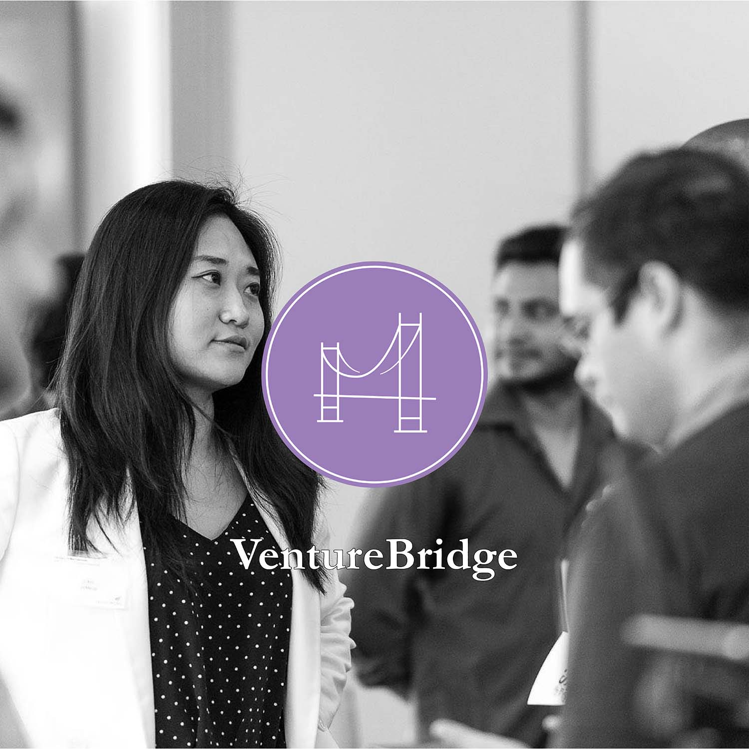 Venture Bridge