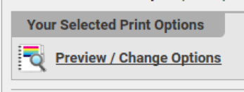 a screenshot of of the print options icon