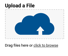 screenshot of the Upload a File screen