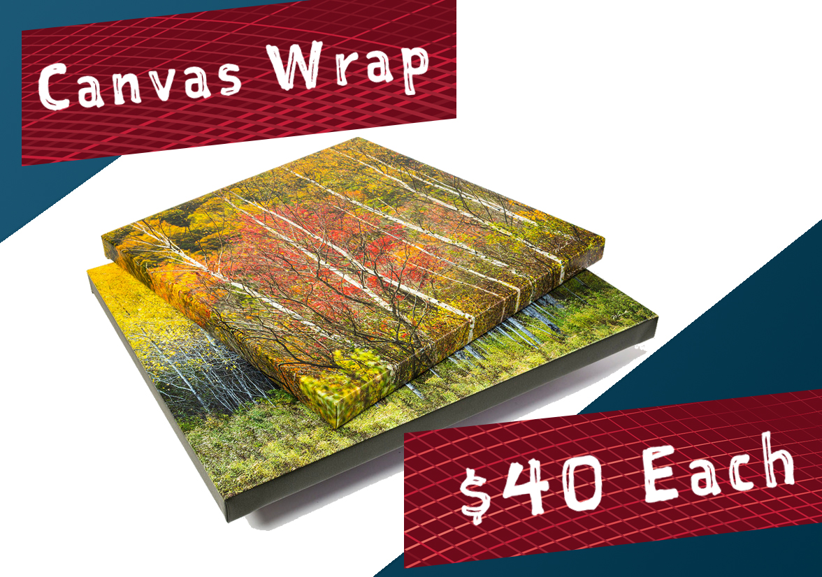 Canvas Wraps $40 Each