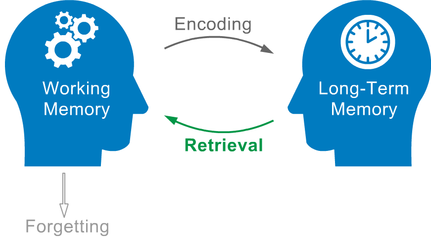 Figure showing the basic components of memory