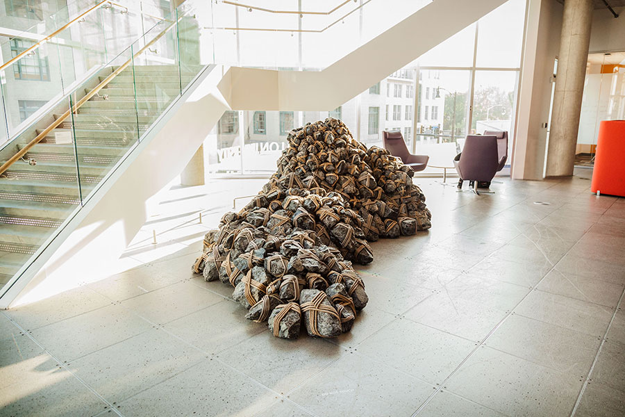 emergence art installation