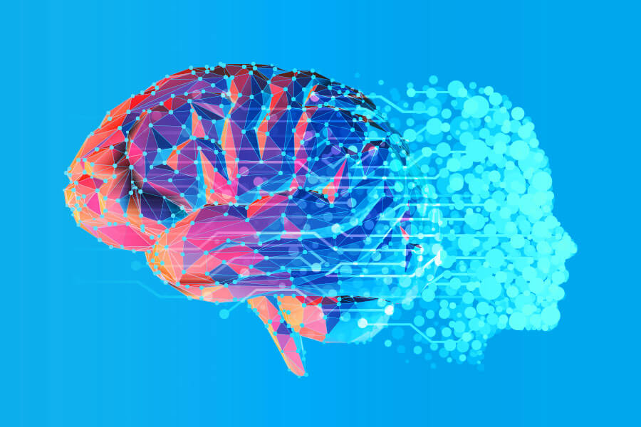 graphic illustration of a brain
