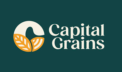 capital grains logo - dark green background