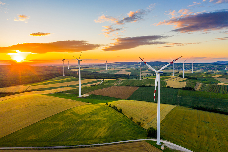 Field and wind turbines