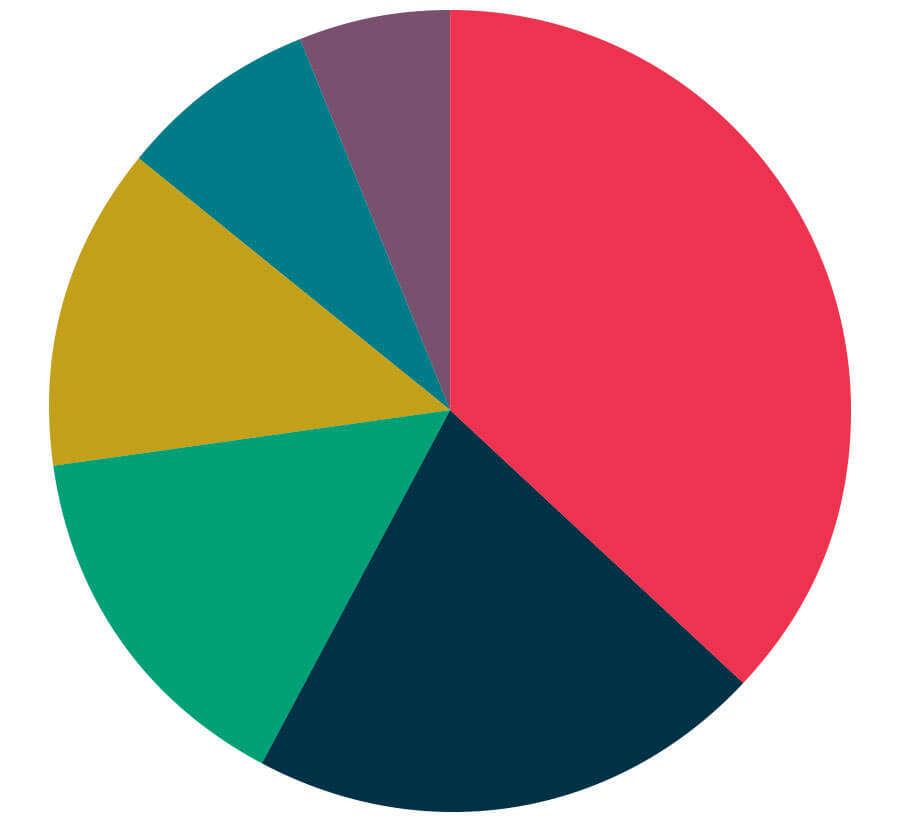 Pie chart of undergraduate major breakdown