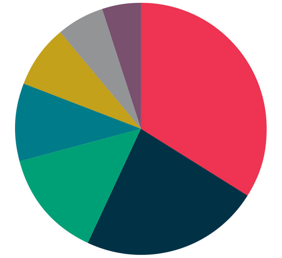 pie chart of undergraduate major breakdown