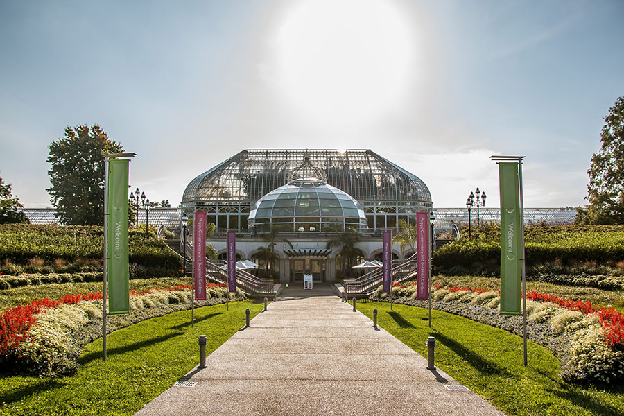 Phipps