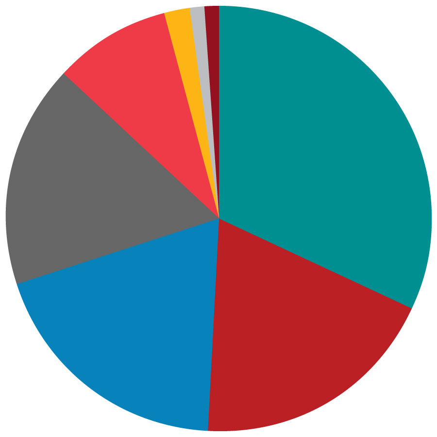 pie chart of employment by function breakdown