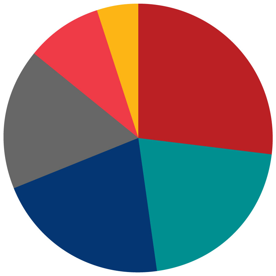 pie chart of internships by function breakdown