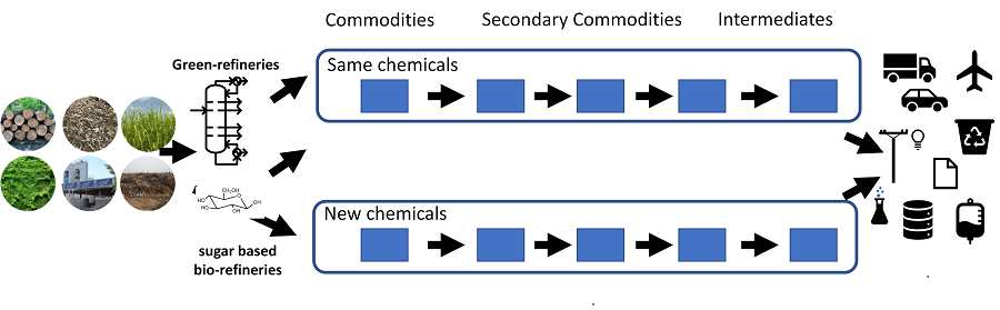 Biomass to fuels and chemicals 