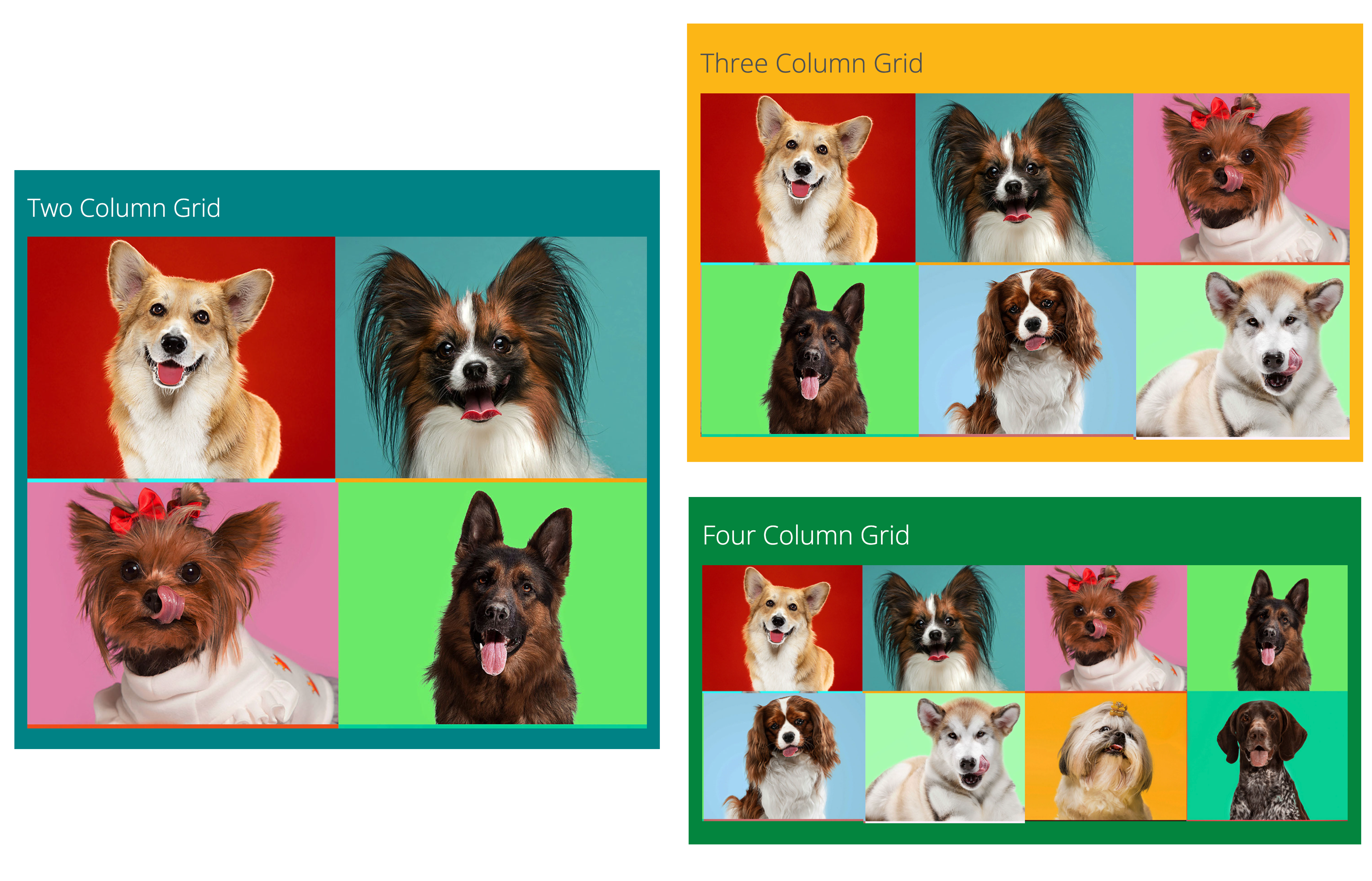 Examples of 2, 3, and 4 columns grids using puppies and kittens in each box.
