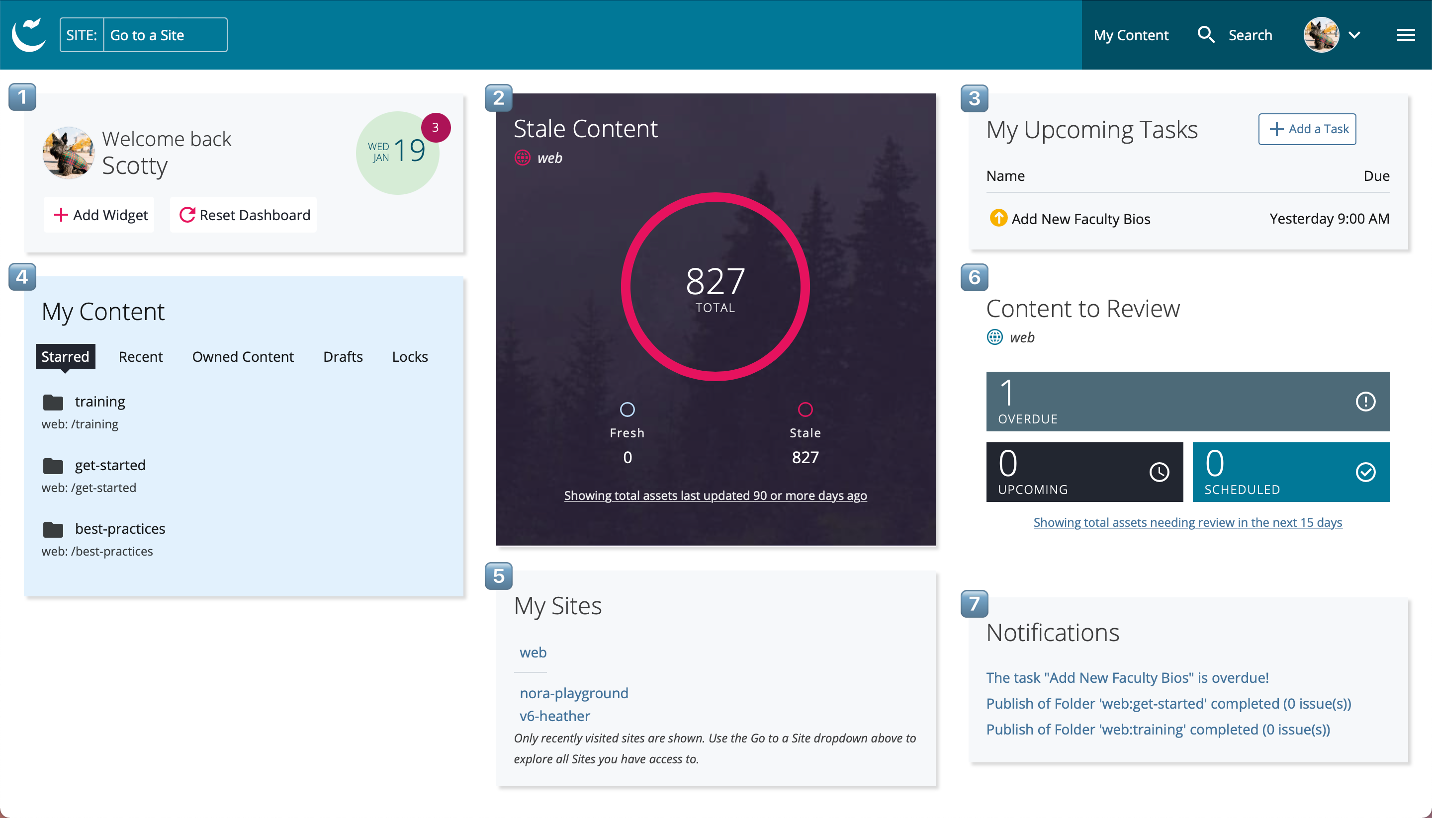 CMS Dashboard