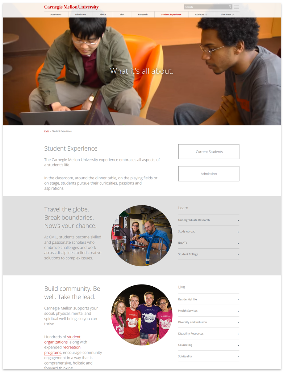 Screenshot of the student experience page with different content types