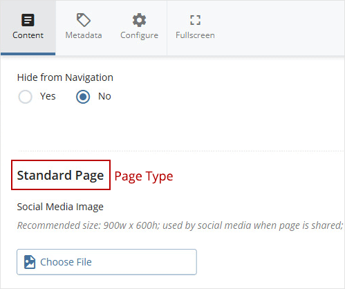 Screenshot of where page type is located.