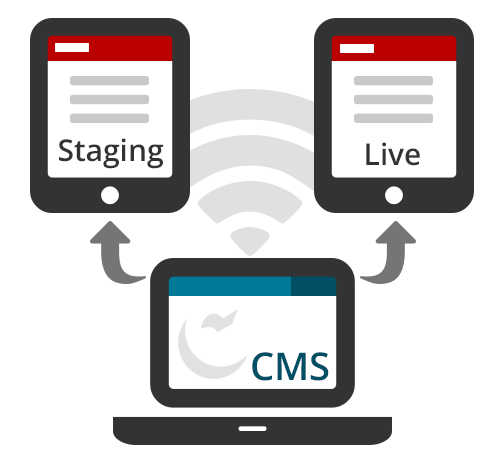 Diagram of CMS and publishing servers