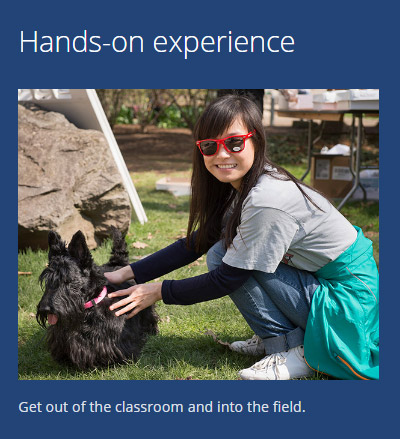 Sidebar with wysiwyg containing text and images using blue background color