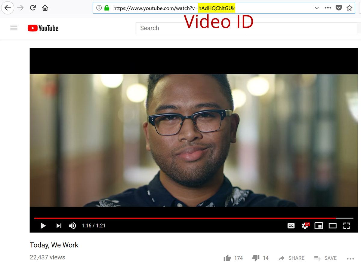 Screenshot of browser showing YouTube video ID