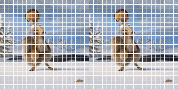 unnamed-1.gif